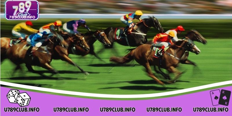 Các loại cược dễ thắng trong đua ngựa 789CLUB 