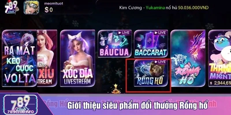 Rồng hổ là trò đối kháng hấp dẫn