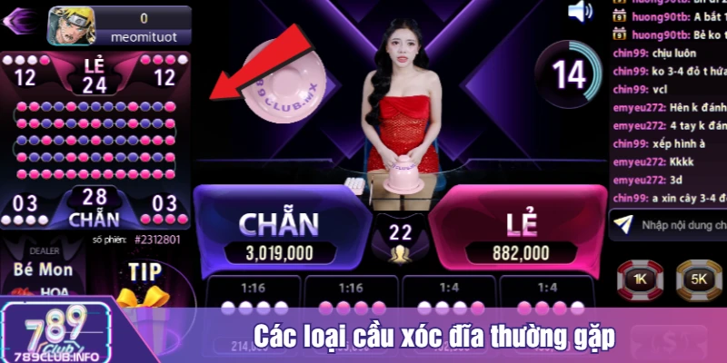 Các loại cầu xóc đĩa thường gặp